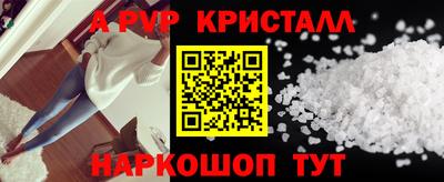 индика Гусев