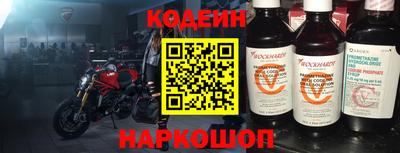 индика Гусев