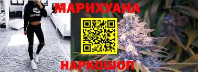 индика Гусев