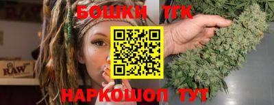 индика Гусев