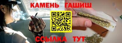 индика Гусев