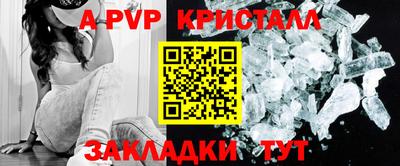 индика Гусев