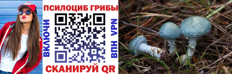 Псилоцибиновые грибы мухоморы  Кимры 