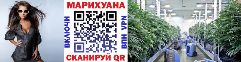 Каннабис ГИДРОПОН  Кимры 